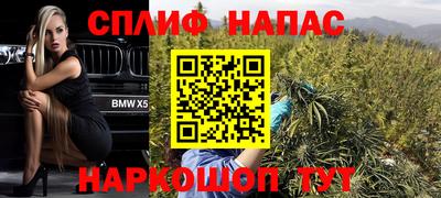гидра Нальчик